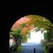 DPP_65935