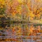 Autumn scenery