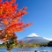 富士山と紅葉２