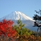 西湖湖畔の紅葉と富士２