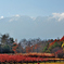 開田高原・御嶽山を望む