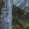 草津・白根山 (12)