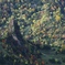 草津・白根山 (16)