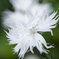 DSC_2298_lite