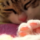 陽だまり