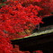紅に包まれて