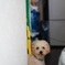 梅雨明けってまだ？