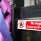 No dogs