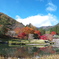 古峯神社の紅葉(庭園①)