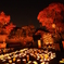 紅葉と灯篭