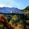 鉄道と紅葉