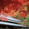 紅のれん