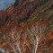 白山