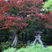兼六園