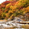 ライン下りと紅葉　