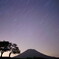 双子の木と羊蹄山