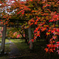 紅鳥居
