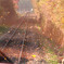 DPP_65944