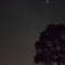 （拡大推奨）月光のない夜に