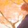 紅葉と