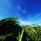 吹き抜ける風