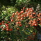 DSC00099