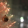 クリスマスツリー
