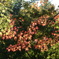 DSC00103
