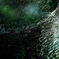 the Galaxy