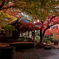 雨上がり　紅葉１