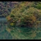 庄川の紅葉