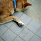 photo_220945
