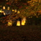 森林公園５