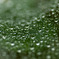雨模様
