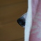 顔隠して鼻隠さず