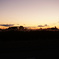 すすきと夕日