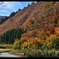 autumn scenery
