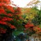 河内渓谷の紅葉
