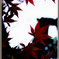 深紅の舞