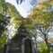 上野#08