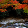 斑紅葉の渓