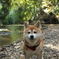 リーダー　in nature 