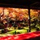 圓光寺の秋