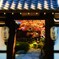 圓光寺の秋