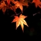 DSC_0064nx2