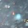海の底