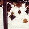 雪の下の物語