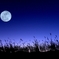 月夜