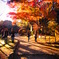 成田山新勝寺2