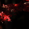 旗幟鮮明